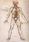 LEONARDO da Vinci You branching of the Blutgefabe, anatomical figure with heart kidneys and Blutgefaben oil painting artist